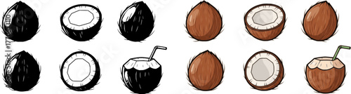 Coconut isolated cartoon set icon. Vector illustration coco on white background. Vector cartoon set icon coconut.
