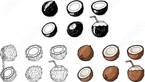 Coconut isolated cartoon set icon. Vector illustration coco on white background. Vector cartoon set icon coconut.
