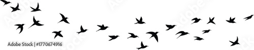 Flat vector silhouette of flying birds in motion, flock formation, nature migration, wildlife freedom, dynamic movement, peaceful sky, travel illustration