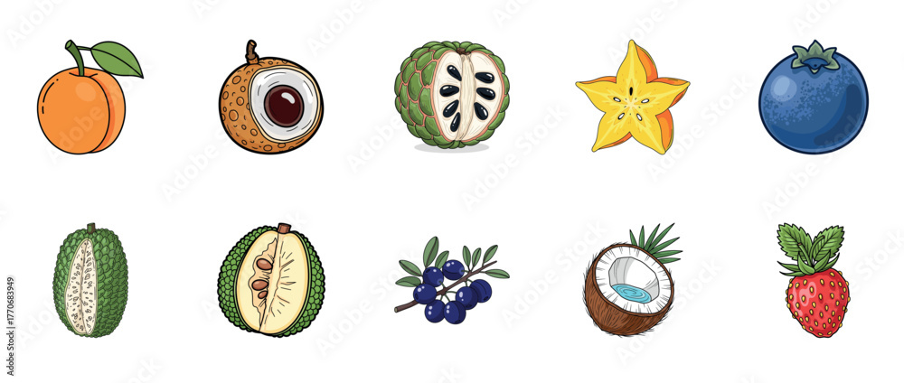Fototapeta premium Collection of exotic fruits: mangosteen, durian, starfruit, coconut, blueberry, strawberry