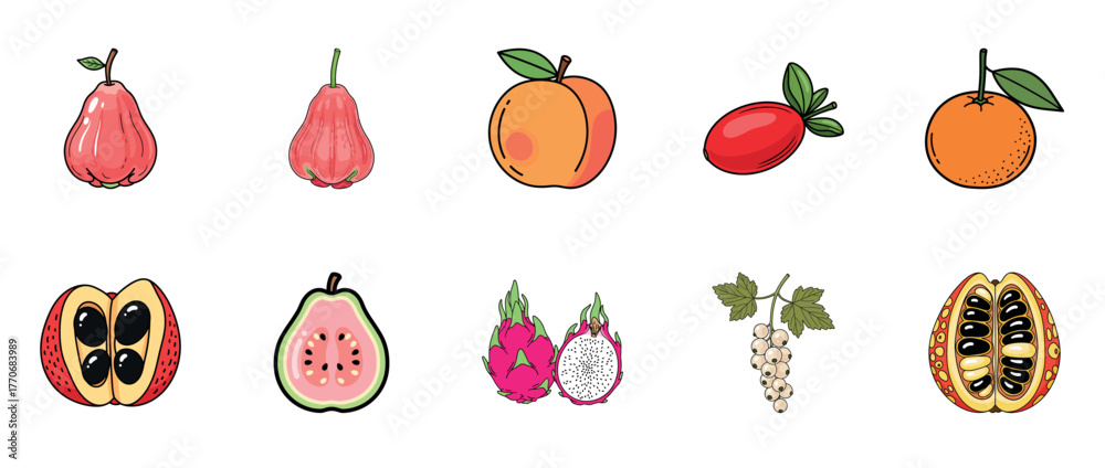 Fototapeta premium Variety of exotic fruits: rose apple, guava, dragon fruit, papaya, kumquat, white currant