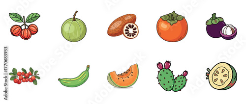 Illustrated assortment of exotic fruits on white background