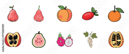 Variety of exotic fruits: rose apple, guava, dragon fruit, papaya, kumquat, white currant