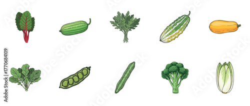 Collection of various vegetables: chard, cucumber, kale, bitter melon, squash, arugula, peas, broccoli, endive