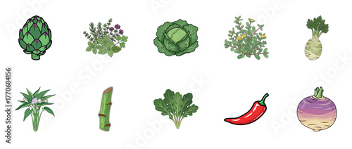 Colorful array of vegetables and herbs: artichoke, cabbage, and chili pepper