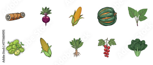 Variety of fresh vegetables and fruits: corn, squash, greens, and more