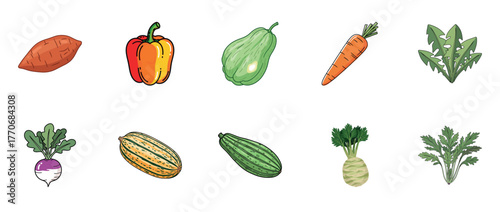 Colorful variety of vegetables: sweet potato, bell pepper, squash, carrot, greens