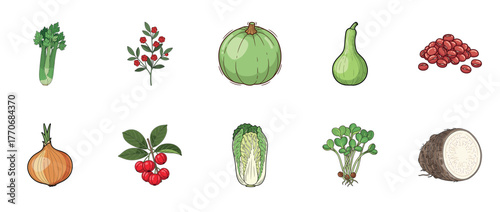 Assorted vegetables and berries: celery, onion, green gourd, berries, napa cabbage, tarzan radish