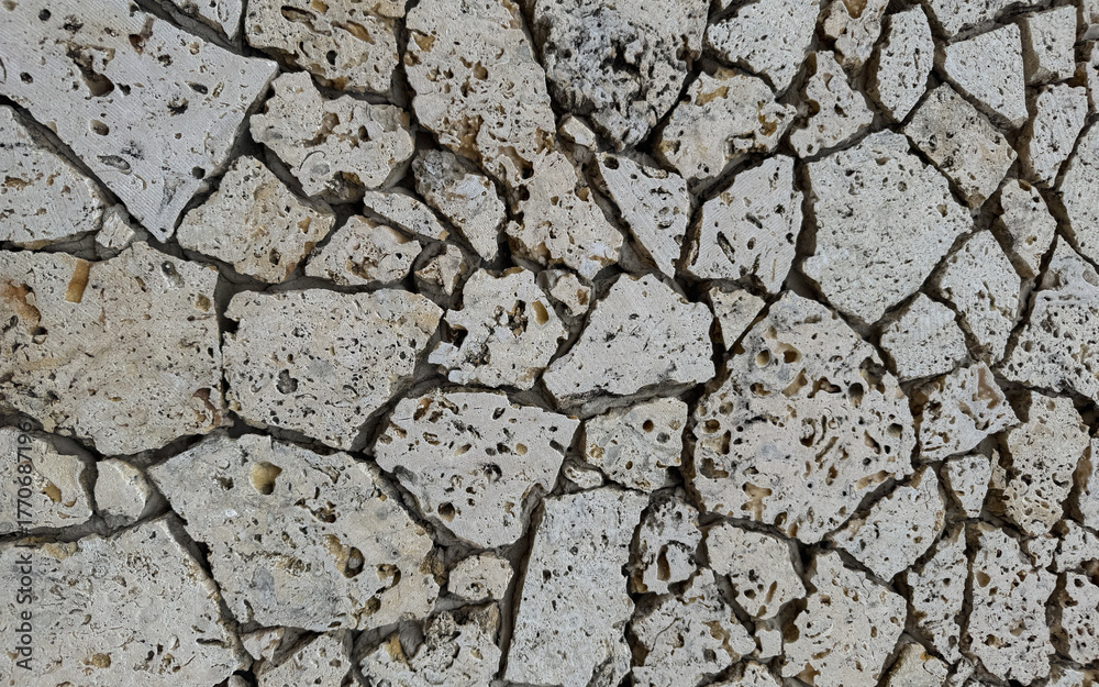 Obraz premium Natural coral stone wall texture background - Abstract design