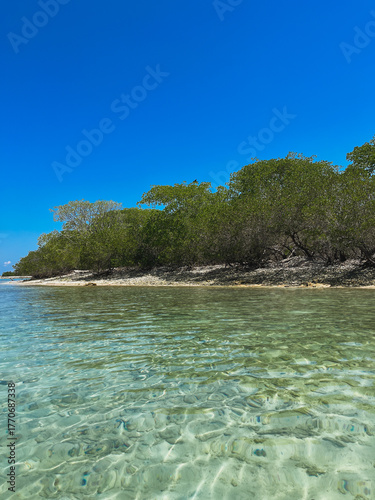  Long Island, Venezuela - Clear Shallow Water and Mangrove Forest Tropical Coast