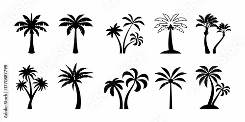 Collection of diverse black silhouette palm tree icons and illustrations on white background