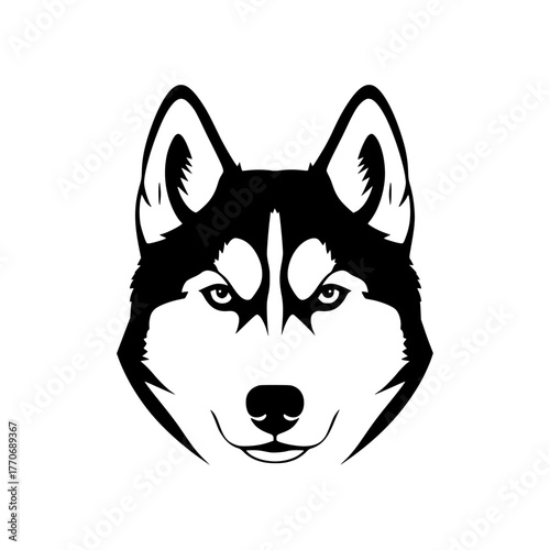 Striking black and white husky dog head graphic for advertising