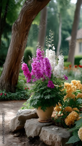Vibrant Delphinium Blooms in Garden Pot Surrounded by Nature
