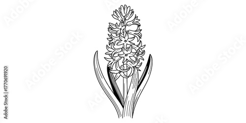 Continuous one line drawing of a detailed floral bloom with leaves and petals emerging gracefully vector