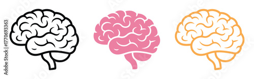 set of anatomical human brain brain side view vector illustrations, neurology and cognitive science