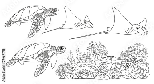 Underwater World Outline Turtle Manta Ray Coral Reef Ocean Sea Life Aquatic Nature Vector