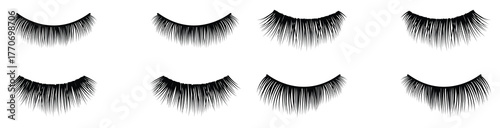 Set of Faux Eye Lashes. Collection of stylized eye illustrations showcasing various shapes and lash designs in black and white tone on transparent background silhouette, vector illustration.