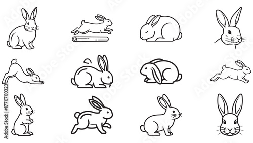 Rabbit Poses Line Art Set, Clean Black Outline Bunny Illustrations for Kids Crafts, Stickers, Teaching Aids, and Vector Projects