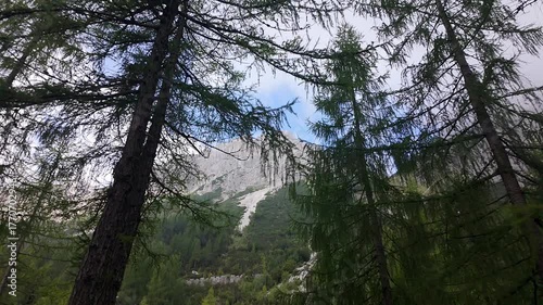 Panoramic view of green mountain landscape in the Julian Alps, Kranjska Gora, Slovenia.