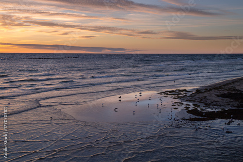 Seagulls and waves at sunset, Baltic Sea, Rügen