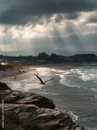 Coastal landscape at sunset with a seagull flying across a sky with rays of light