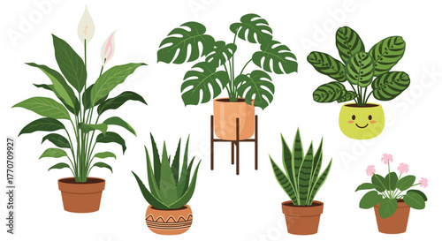 A vibrant collection of popular potted indoor houseplants, including peace lily, monstera, aloe, and snake plant, perfect for home decor.