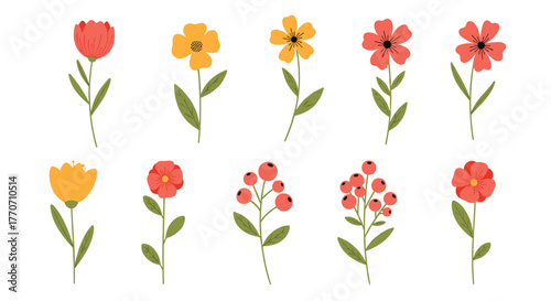 A vibrant collection of simple hand-drawn floral and berry illustrations, perfect for spring and nature-themed designs.