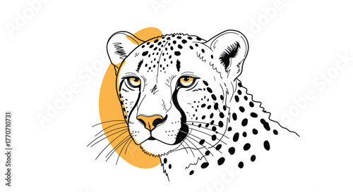 A captivating illustration of a cheetah's head, showcasing its unique spots and iconic tear marks against a minimalist background accent.