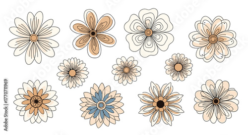 Delicate hand-drawn floral collection featuring various flower shapes in muted beige, brown, and blue tones on a white background.