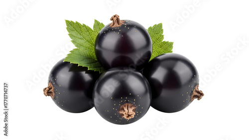 A small cluster of delicious fresh ripe black currant berries with green leaves on a transparent background