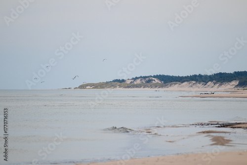 Fototapeta Naklejka Na Ścianę i Meble -  Peaceful Nature Scene at Wydma Łącka Sand Dunes, Poland