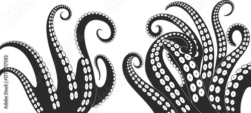 Octopus tentacles silhouette, marine animal vector, underwater creature design, sea life icon, black and white illustration, flat vector illustration