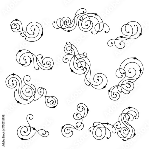 Set of line curl elements. Modern decorative linear vignettes.