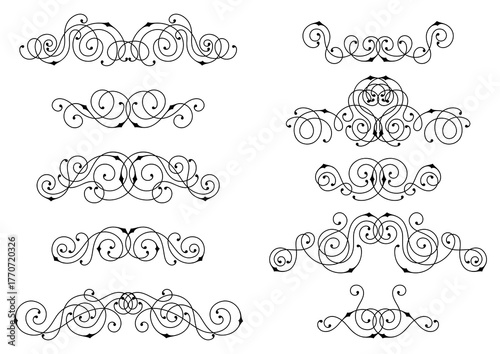 Set of line curl elements. Modern decorative linear dividers.