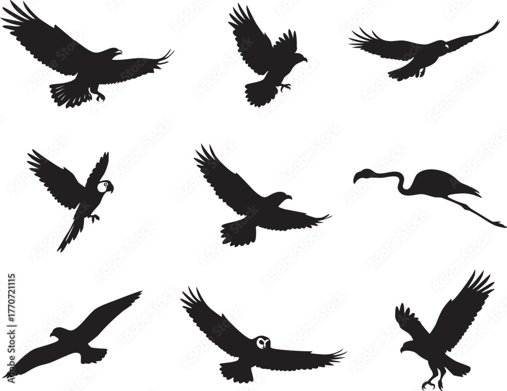 Obraz premium Collection of Nine Distinct Bird Silhouettes in Flight: Eagle Dove, Raven, Parrot, Sparrow, Flamingo, Seagull, Owl, and Osprey
