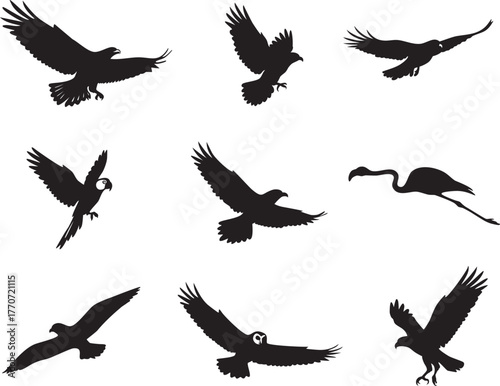 Collection of Nine Distinct Bird Silhouettes in Flight: Eagle Dove, Raven, Parrot, Sparrow, Flamingo, Seagull, Owl, and Osprey