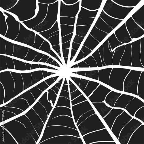 Grungy Close-Up Spider Web Graphic - High-Contrast Black and White Spooky Background