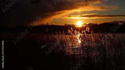 Beautiful sunset over the sea with golden sunlight reflecting on calm waves, peaceful nature seascape in 4K ultra HD, symbol of tranquility and beauty.