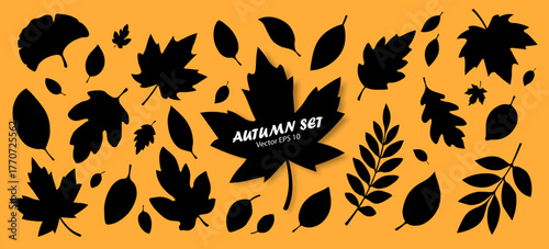 A set of silhouettes of autumn leaves, isolated on an orange background. Hello autumn. Elements for autumn designs. Vector EPS 10.