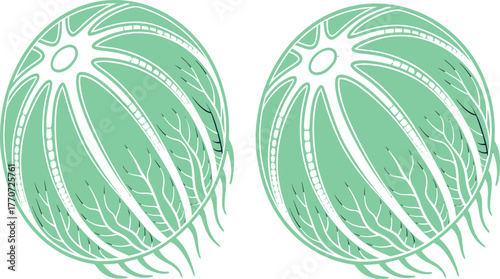Artistic Spheres: Two identical spheres float, showcasing intricate designs of veins, hinting at the interconnectedness of life's elements in a stylized, modern artistic.