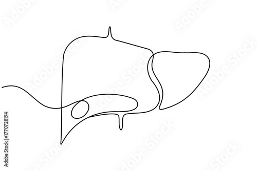 Human Liver anatomy continuous one line drawing on white background minimalist internal organ outline vector illustration
