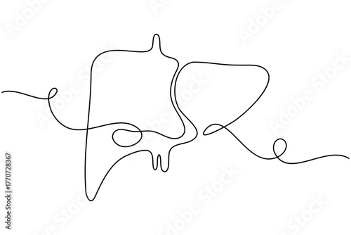 Human Liver anatomy continuous one line drawing on white background minimalist internal organ outline vector illustration
