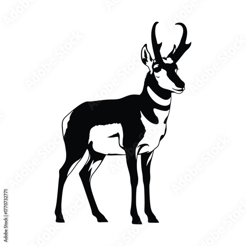 Pronghorn standing silhouette illustration native north american mammal mammal species wild animal savanna