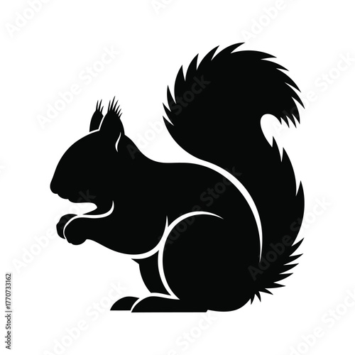 Squirrel silhouette eating nut wildlife animal cute forest mammal rodent small tail nature wild forest animal park