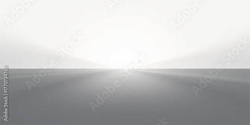 Abstract bright white light emanating from the horizon in a grayscale landscape with a blurred perspective