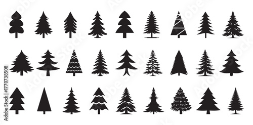Various Christmas Vector Collection tree silhouette, Christmas outline tree silhouettes
Pine, Fir, and Spruce Holiday Symbol Illustration