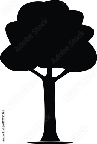 Symbolic Open Book for Learning and Study