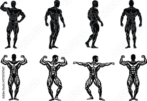 Bodybuilder silhouette vector, muscular male poses, anatomy illustration, fitness icon set, gym workout clipart, black flexing figure design