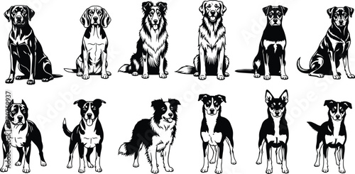 Dog breeds vector illustration, cartoon dogs sitting, black and white pet clipart, cute puppy drawing, animal character set, front view