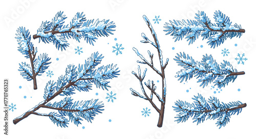 Winter pine branches with snowflakes: hand drawn nature elements for seasonal designs